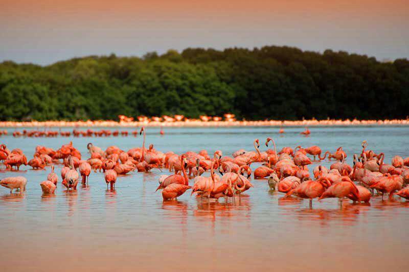 Casa Maya Holbox Dış mekan fotoğraf