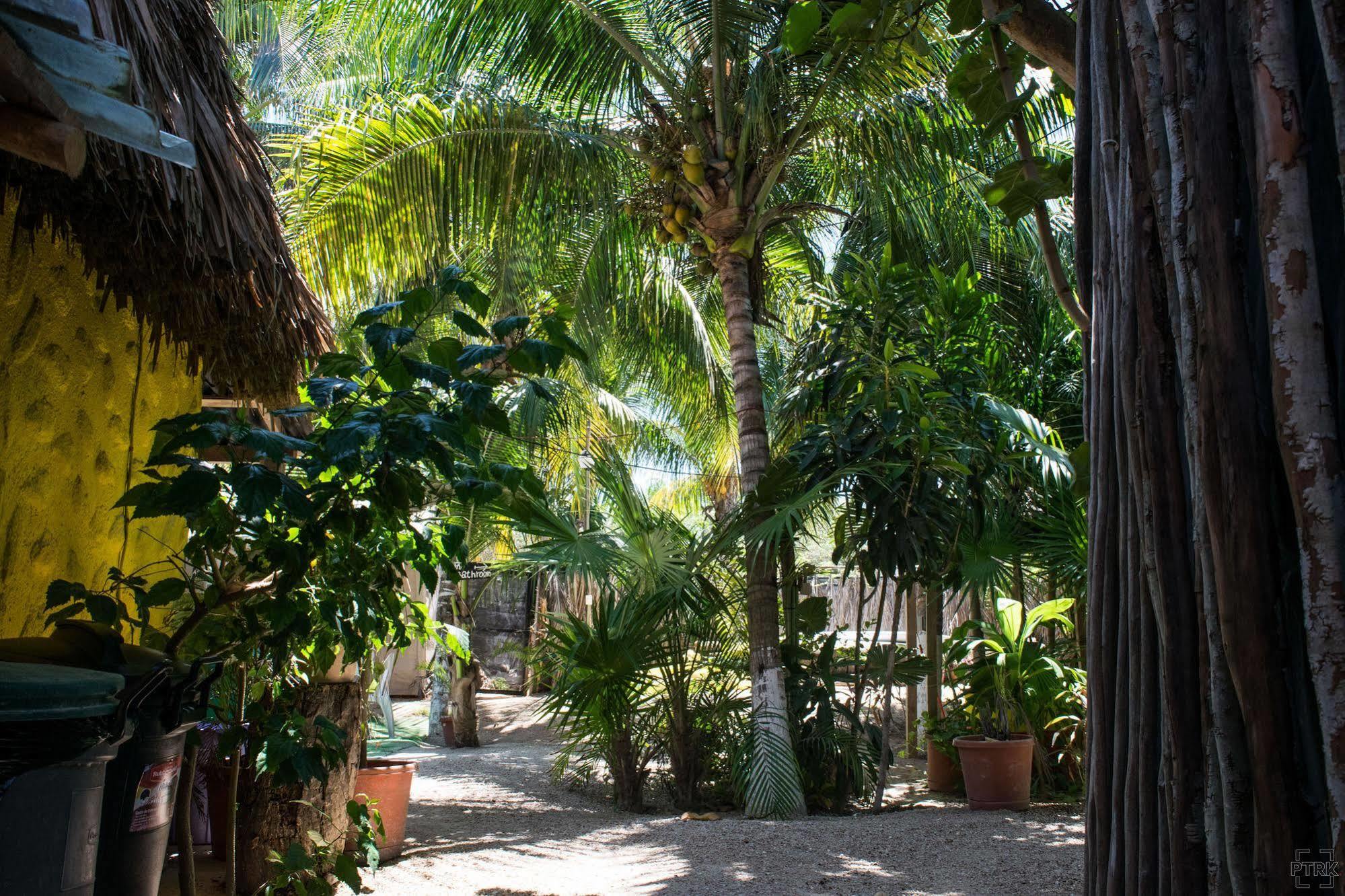 Casa Maya Holbox Dış mekan fotoğraf